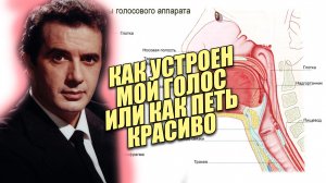 Тенор о технике пения/Как Физически брать красивые Верхние Ноты