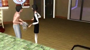 Странности Sims 3