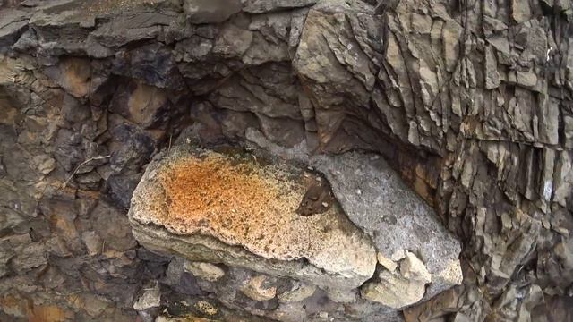 Крым 2021 Севастополь Фиолент Музей Херсонес Таврический.