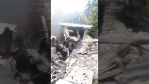 Видео, на котором жители Соледара обвиняют украинскую армию в утреннем обстреле завода «Кнауф».