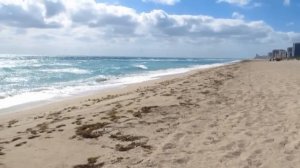 MIAMI. Haulover Park and Beach. Florida USA