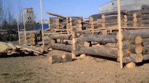 Сруб из сухостоя "Кело"