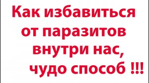 Как избавиться от паразитов внутри нас, простой рецепт