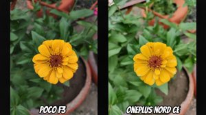 OnePlus Nord CE vs Poco F3 Тест камер