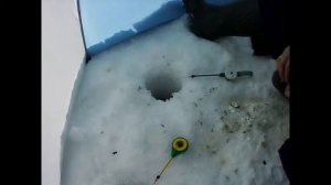 Рыбачим на Балтыме