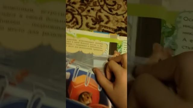Книга "Мир животных" История про хомяка!