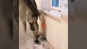 Обратный молот . Извлечение.Вытаскивание застрявшей алмазной коронки. Алмазное бурение.сверление.