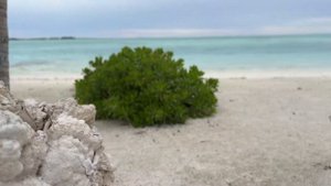 RAHAA RESORT | 4* RESORT | BUDGET TRAVEL | MALDIVES