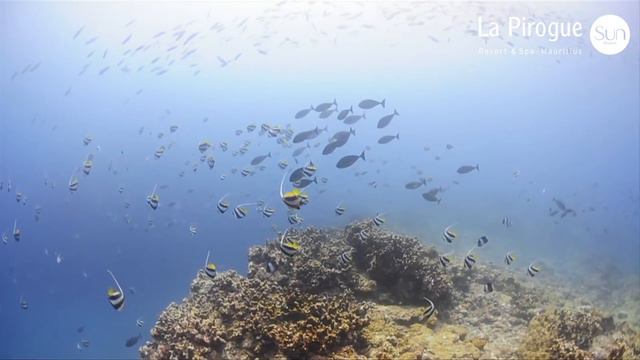 La Pirogue Resort & Spa, Mauritius - Overview смотреть онлайн