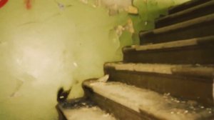 ПОДПИСЧИКИ УПРАВЛЯЮТ МОЕЙ ЖИЗНЬЮ | НАС ПРЕСЛЕДУЮТ