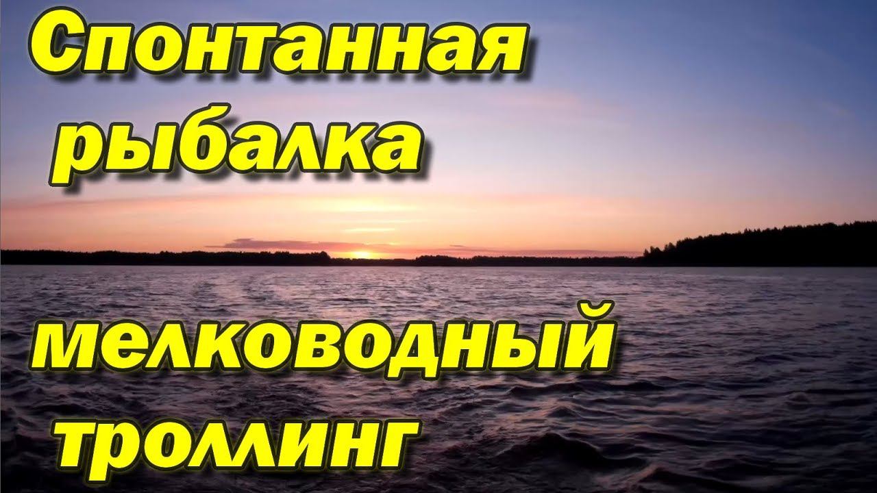 Мелководный троллинг на глубине 1,5 метра. Спонтанная рыбалка
