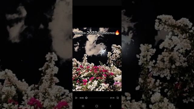 ?Полька-2023?Demo? смотреть онлайн