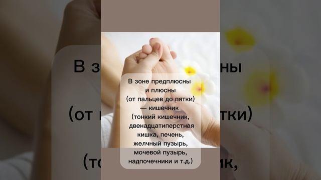 КАКИЕ ТОЧКИ ЗАДЕЙСТВОВАТЬ ПРИ МАССАЖЕ СТОП?