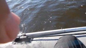 Fishycat  Tigercub 170F X03 щука 4кг