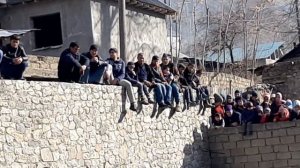 Туй дар Яфрак