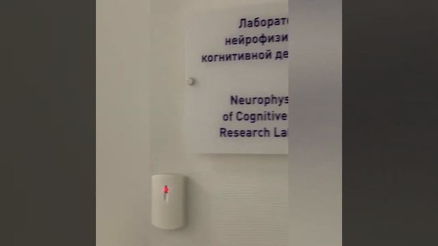 Магистратура 06.04.01 «Прикладная психофизиология» смотреть онлайн