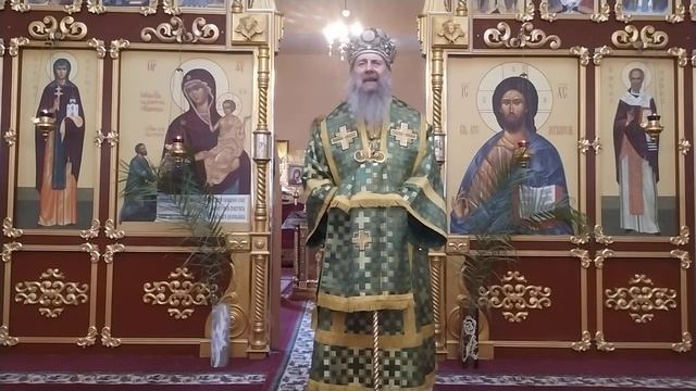 Проповедь в праздник Входа Господня в Иерусалим 09,04,2023 смотреть онлайн