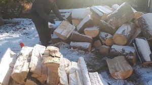 Сосновые дрова - зимняя забота. Бурятия. Улан-Удэ. 2020 год.