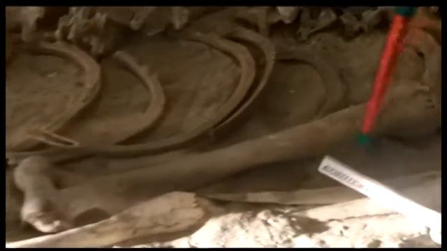 Сопроводительный материал в погребальном обряде смотреть онлайн