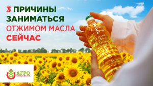 Пищевое производство как бизнес. Отжим масла, три причины заняться этим сейчас.