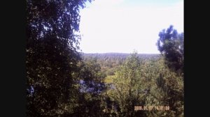 Ветковский район, 22 августа 2010г.; Новые Громыки, Потёсы, Бартоломеевка.