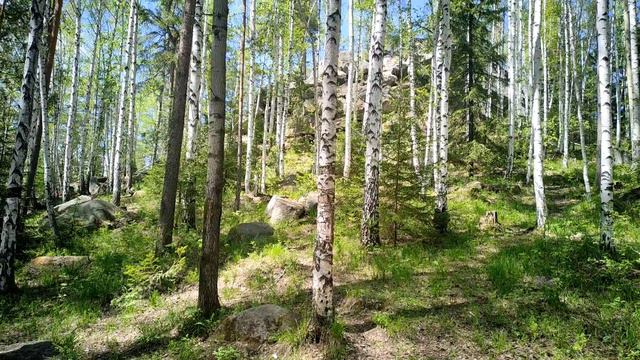 Соколиный камень