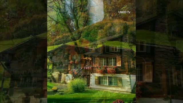 #short классное фото#природа и дама смотреть онлайн