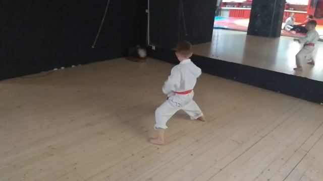 HEIAN GODAN ХЕАН ГОДАН. WKF World Shotokan Karate green belt