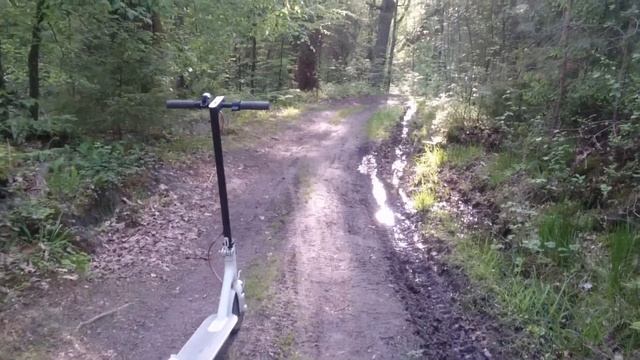 Светлогорский лес весной смотреть онлайн