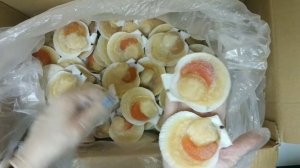 Морской Гребешок на створке