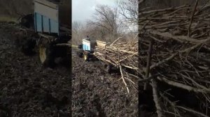 Прикарпатець