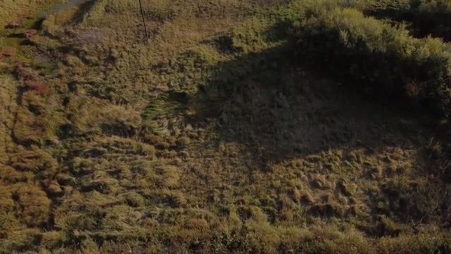 Город 