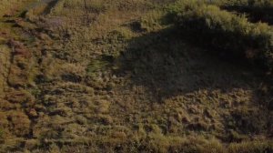 Город "Ужур" с высоты птичьего полёта.