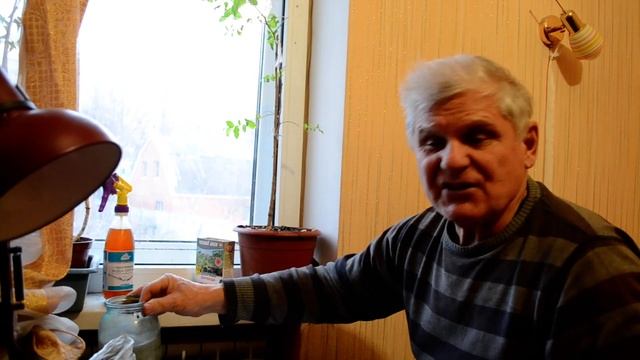 УХОД ЗА ЦВЕТАМИ НА ПОДОКОННИКЕ ЗИМОЙ (ЭФФЕКТИВНО) смотреть онлайн