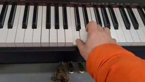 Casio Celviano AP-250 digital piano in satin black finish stock number 24026
