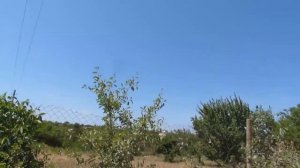 ПЕРЕЕЗД НА ПЕНСИИ В КРЫМ на пмж на юг. Мой опыт пенсионерки. Другая жизнь в Крыму пенсионера?