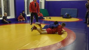 Секция самбо