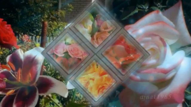 ЦВЕТЫ ДЛЯ ХОРОШЕГО НАСТРОЕНИЯ смотреть онлайн