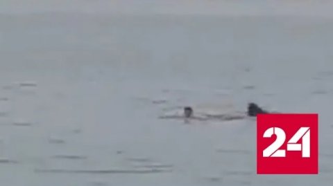 Россиянин погиб в море в Хургаде на глазах многочисленных очевидцев - Россия 24 
