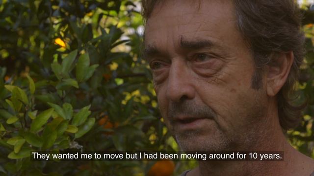 Wild Orange Oil – doTERRA Sourcing Brazil’s Orange Essential Oil смотреть онлайн