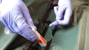 Ремонт лодки в домашних условиях