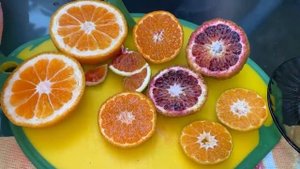 Как получить сладкие плоды мандаринов