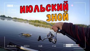 Azura 702M в работе. Отличный клев хищника на спиннинг в июльскую жару