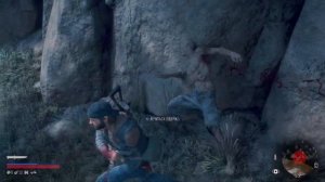 Days Gone Что Ты Наделал. Посетить Камень Сары.