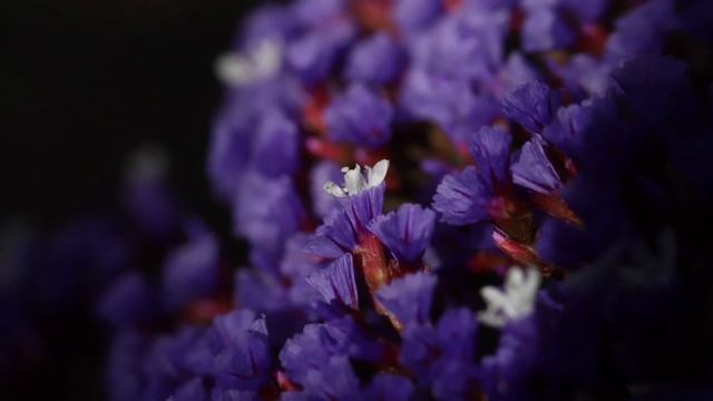 Заблуждения современной науки. Ченнелинг. Потоковое письмо. смотреть онлайн