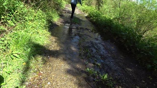 Дорогой цветущих азалий. (маршрут №25) смотреть онлайн