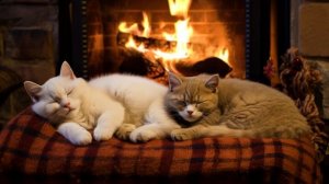 Stay Warm And Cozy with Purring Cats | Helps Sleep Instantly | Fireplace Burning