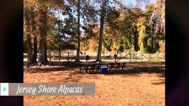 12 Best Tourist Attractions in New Jersey USA смотреть онлайн