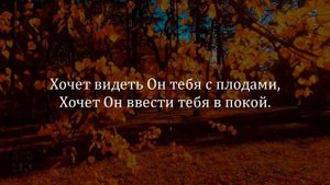Осень, осень, листья пожелтели  Зоя Главацкая | Христианские песни