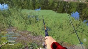 Russian Fishing 4 Клёвые места. Трофейная Уклейка. Старый Острог. РР4